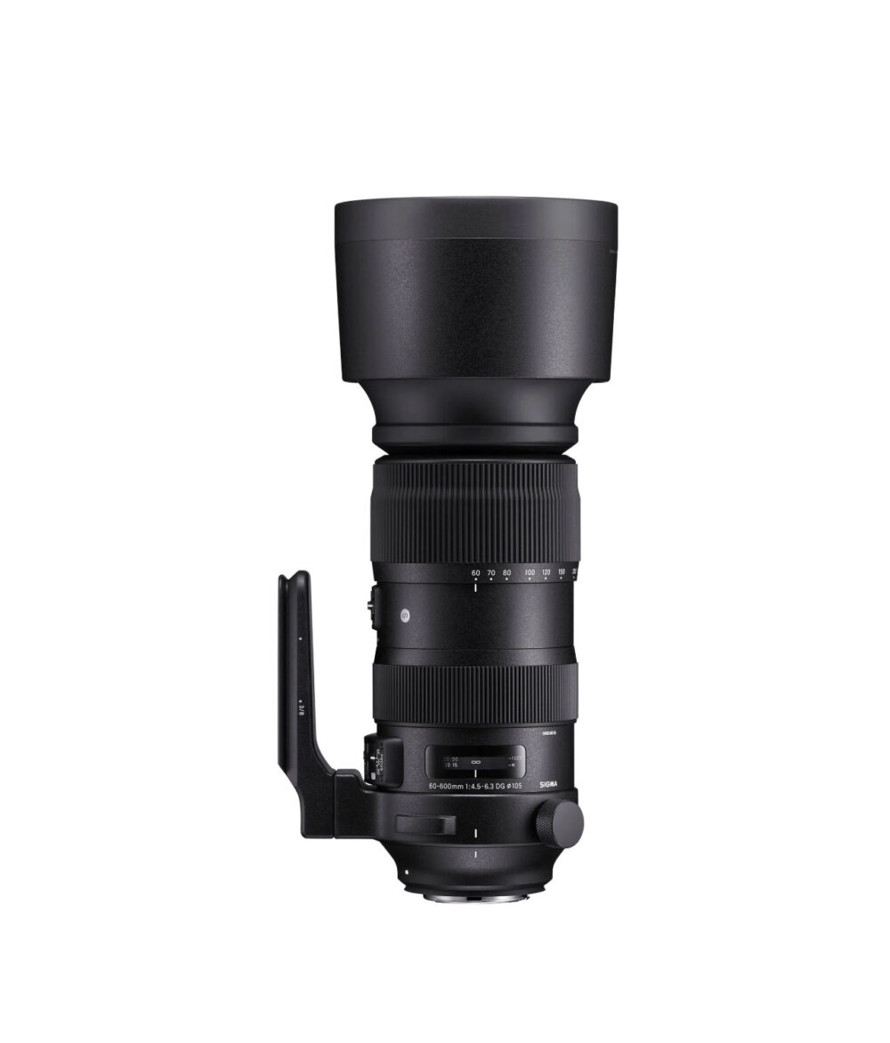Sigma 60-600mm F4.5-6.3 DG OS HSM Sports Lens Product Image