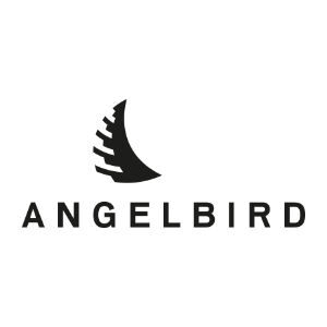 Angelbird logo image with link to Angelbird products